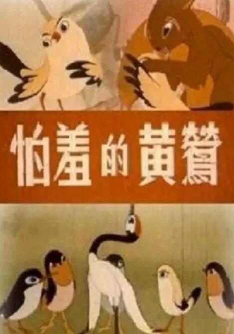 午夜夫妻视频